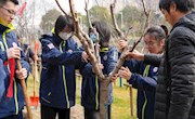 手植春光 绿染校园——我校开展植树节活动